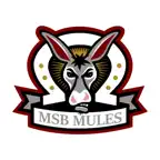 MSB Focus iOS Icon