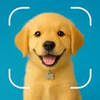 Dog Breed Scanner: Identifier iOS Icon