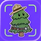 Tree ID: Wood Identifier iOS Icon