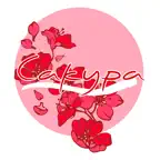 Сакура - суши и роллы iOS Icon