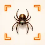 Spider Identifier & Bug Finder iOS Icon