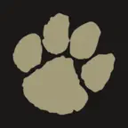 Canton Academy Athletics iOS Icon