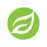 LifeChurch NV