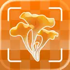 Mushroom Identifier: Scan Pro iOS Icon