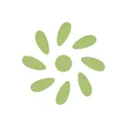 柠檬轻语 Icon