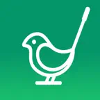 BirdieConnect: Golf Planning Icon