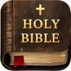 NIV Holy Bible iOS Icon