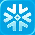Snowflake CoWork iOS Icon