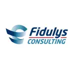 Fidulys Consulting iOS Icon