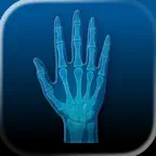 Anatomy & Physiology AI Solver iOS Icon