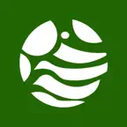 Mapster GO Icon