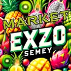 EXZO SEMEY iOS Icon