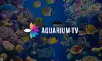 Aquariums TV iOS Icon