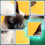 JigSolve - Jigsaw Puzzle iOS Icon