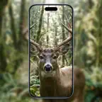 TrailCam: Wildlife Motion Cam iOS Icon