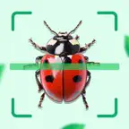 ‎Bug Identifier: Insect Finder iOS Icon