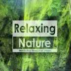 Relaxing Nature TV iOS Icon