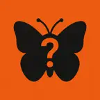 Guess What? - Hidden Picture iOS Icon