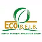 Ecoseib Rodengo Saiano Icon