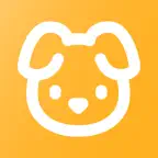Havanese Hero iOS Icon