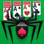 Classic Card: Spider Solitaire iOS Icon