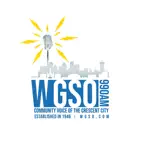 WGSO 990AM iOS Icon