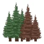 My IPM Southern Fraser Fir iOS Icon