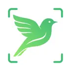PixBird-Identify birds by AI iOS Icon