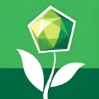 Peridot Montessori iOS Icon