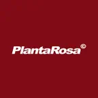 Planta Rosa - online store iOS Icon