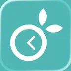 TimeWorky: Tiempo y Cobros iOS Icon