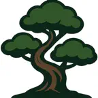 Bonsai: Körkort icon