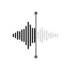 Voice Notes - Transcribe iOS Icon