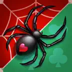 Spider Stack iOS Icon