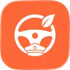 Fondex Driver Icon