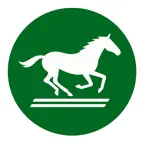 AI競馬スコア- 出走馬の能力値をAIが解析 iOS Icon