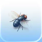Bug Chase – Game for Cats iOS Icon