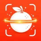 Orange - AI calorie tracker iOS Icon