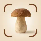 Mushroom Identifier & ID Scan icon