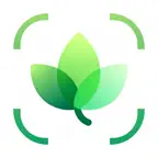 Plant AI -Scanner & Identifier iOS Icon