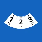 Blue Disc Icon
