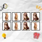 Say The Word on Beatt iOS Icon