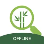 Offline - Ndelok Tebu Icon