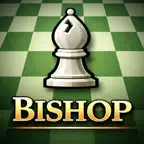 Chess Bishop Logic Puzzle iOS Icon