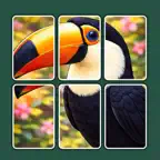 Jigzun Jigsaw Solitaire Puzzle iOS Icon