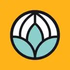 Small Web iOS Icon