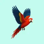 The Colourful Bird Collection iOS Icon