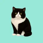 Charming Cats Collection iOS Icon