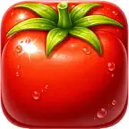 TOMATO Grocery List iOS Icon