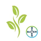 Culti-Bayer iOS Icon